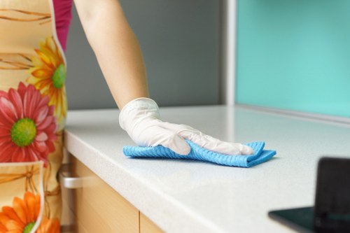 Domestic cleaning service for a W14 flat interior