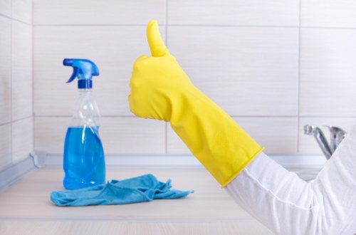 Professional steam carpet cleaning for a W14 home interior