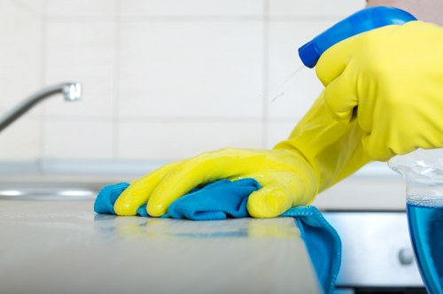 Safe and thorough gutter maintenance for homes and businesses in W14