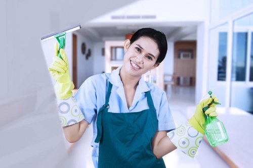 Mattress cleaning for rental and residential properties in W14