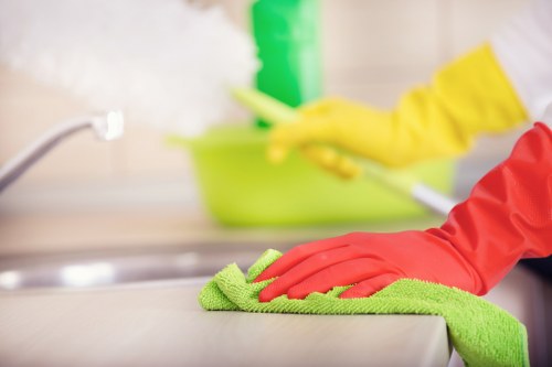 Clean oven racks and trays during a deep cleaning visit in W14