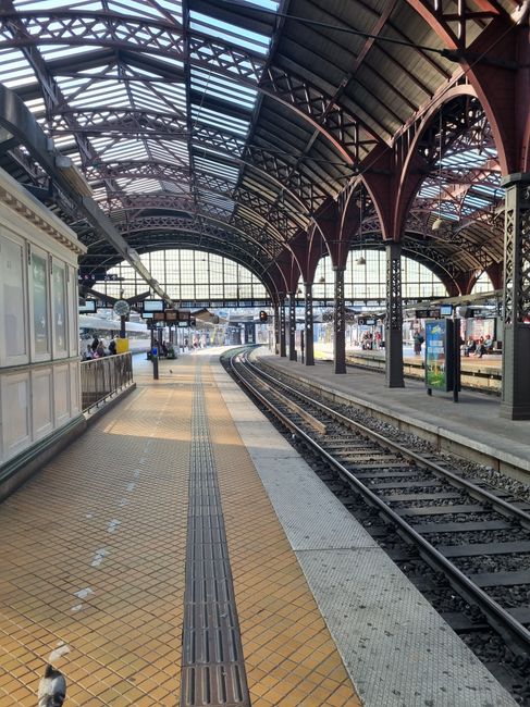 The image depicts a spacious train station platform at Barnes Bridge Station, featuring an arched, metal lattice roof structure with large glass panels allowing natural light to illuminate the area. The platform surface is paved with yellow and gray tiles, appearing clean and well-maintained, with a tactile strip along the edge for safety. The railway tracks run centrally, with several digital information screens and advertising panels visible along the platform. The station's open design and modern aesthetic highlight its commitment to hygiene and maintenance, consistent with expert cleaning standards. This scene exemplifies routine surface cleaning and sanitisation processes carried out by professionals such as those from Cleaners W14, as promoted on their website for residents and commuters in W14.